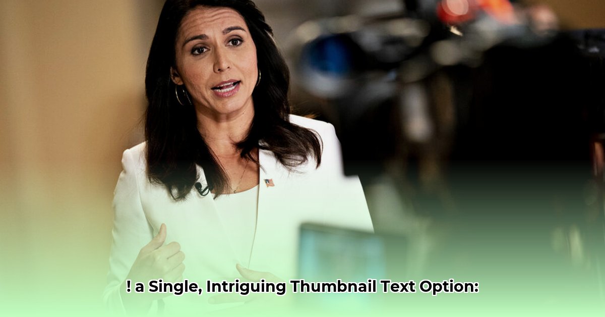 kelsey-gabbert-net-worth